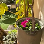 Appartement Deluxe Exclusive 90m Ilrusticodib. Limone sul Garda